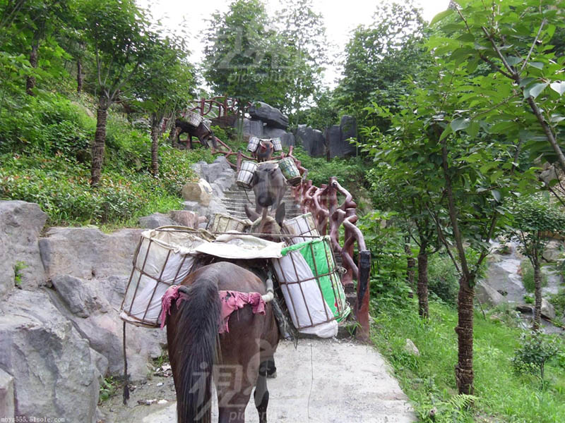 吉首市骡马运输队电话